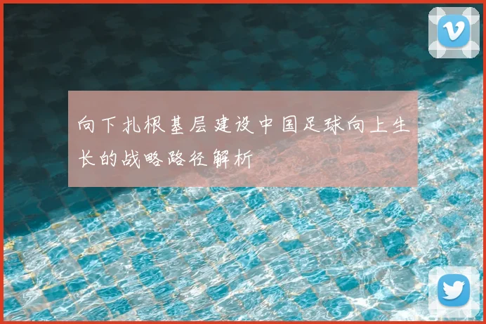 向下扎根基层建设中国足球向上生长的战略路径解析